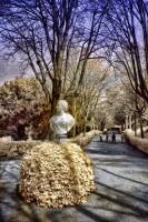 /album/fotogaleria-fotografia-infraroig/f-1-640x480-jpg/